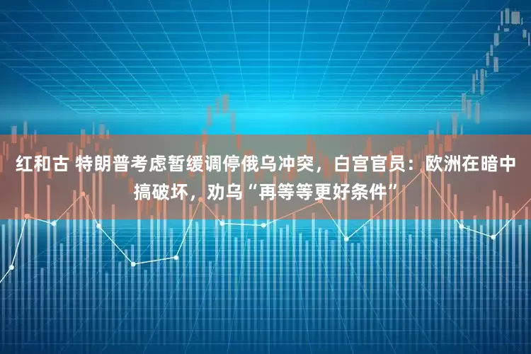 红和古 特朗普考虑暂缓调停俄乌冲突，白宫官员：欧洲在暗中搞破坏，劝乌“再等等更好条件”