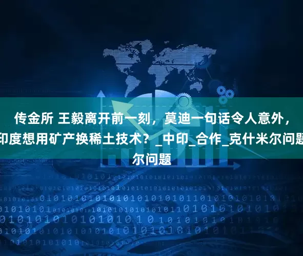 传金所 王毅离开前一刻，莫迪一句话令人意外，印度想用矿产换稀土技术？_中印_合作_克什米尔问题