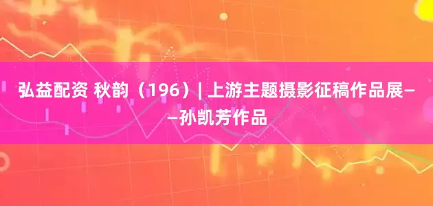 弘益配资 秋韵（196）| 上游主题摄影征稿作品展——孙凯芳作品