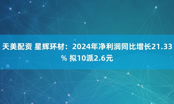 天美配资 星辉环材：2024年净利润同比增长21.33% 拟10派2.6元