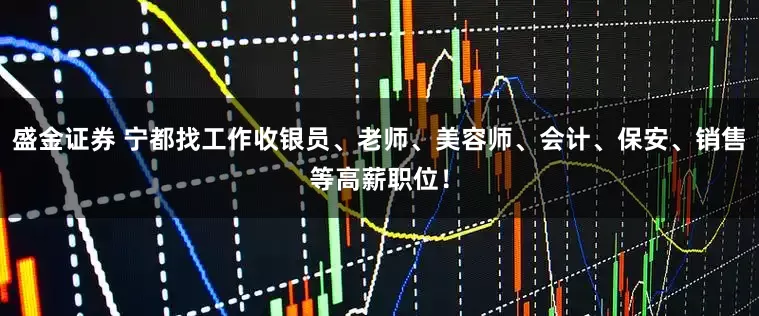 盛金证券 宁都找工作收银员、老师、美容师、会计、保安、销售等高薪职位！