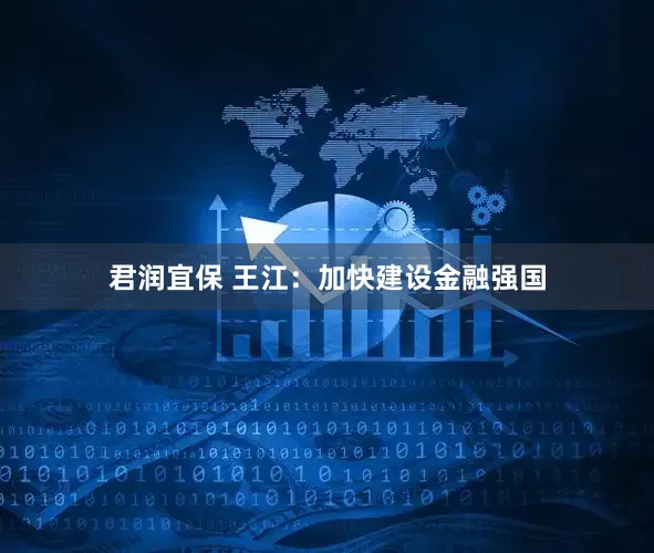 君润宜保 王江：加快建设金融强国